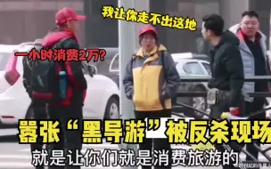 Download Video: 盘点嚣张“黑导游”遭反杀现场，游客被强制下车，1小时消费2W！