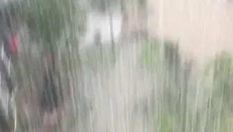 郑州大雨，鱼都跑路上了！
