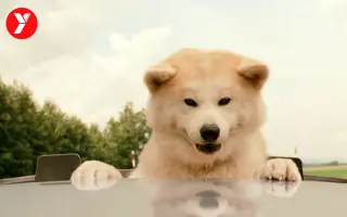 西田裕美 搜索结果 哔哩哔哩 Bilibili