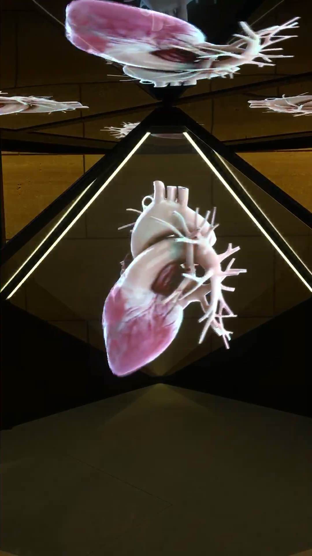 扑通扑通的小心脏.