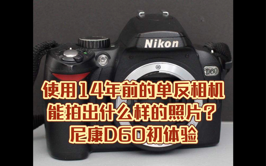 14年前的单反能拍出什么样的照片?用尼康D60在太阳岛拍摄初体验哔哩哔哩bilibili