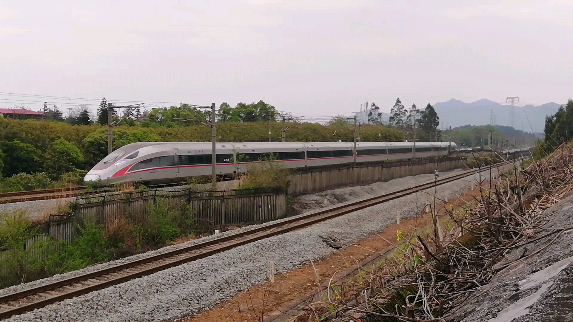 中國標準動車組