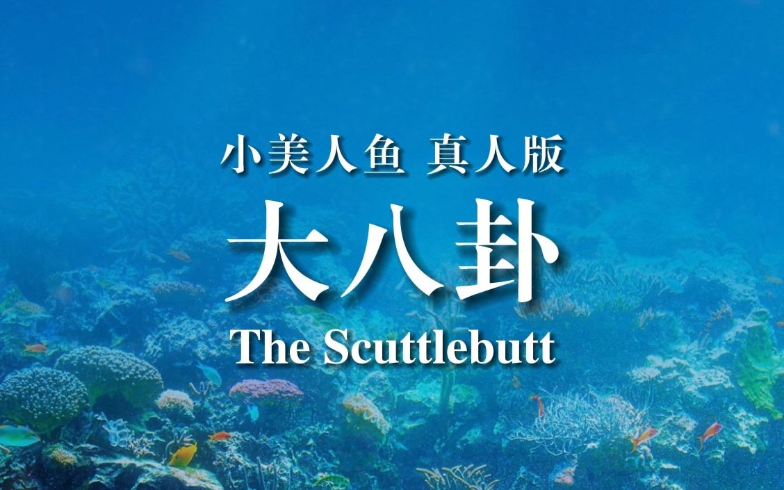 [图]小美人鱼 真人版——The Scuttlebutt 普通话版