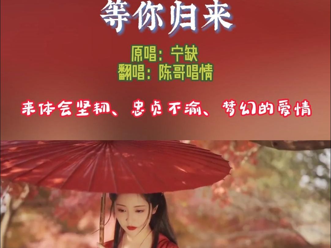 等你归来 原唱:宁缺(程响) 翻唱:陈哥唱情