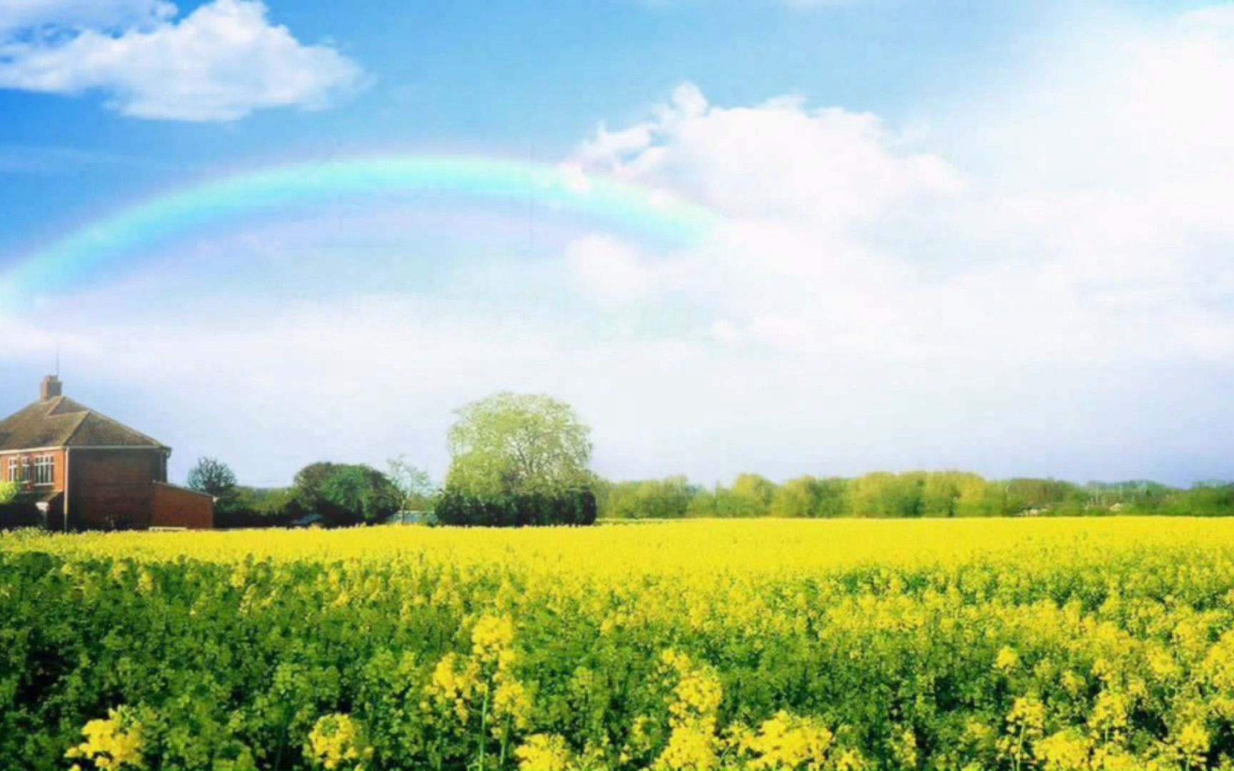 合成风景花草树木(11m19s)led大屏背景视频墙-全十古云21624