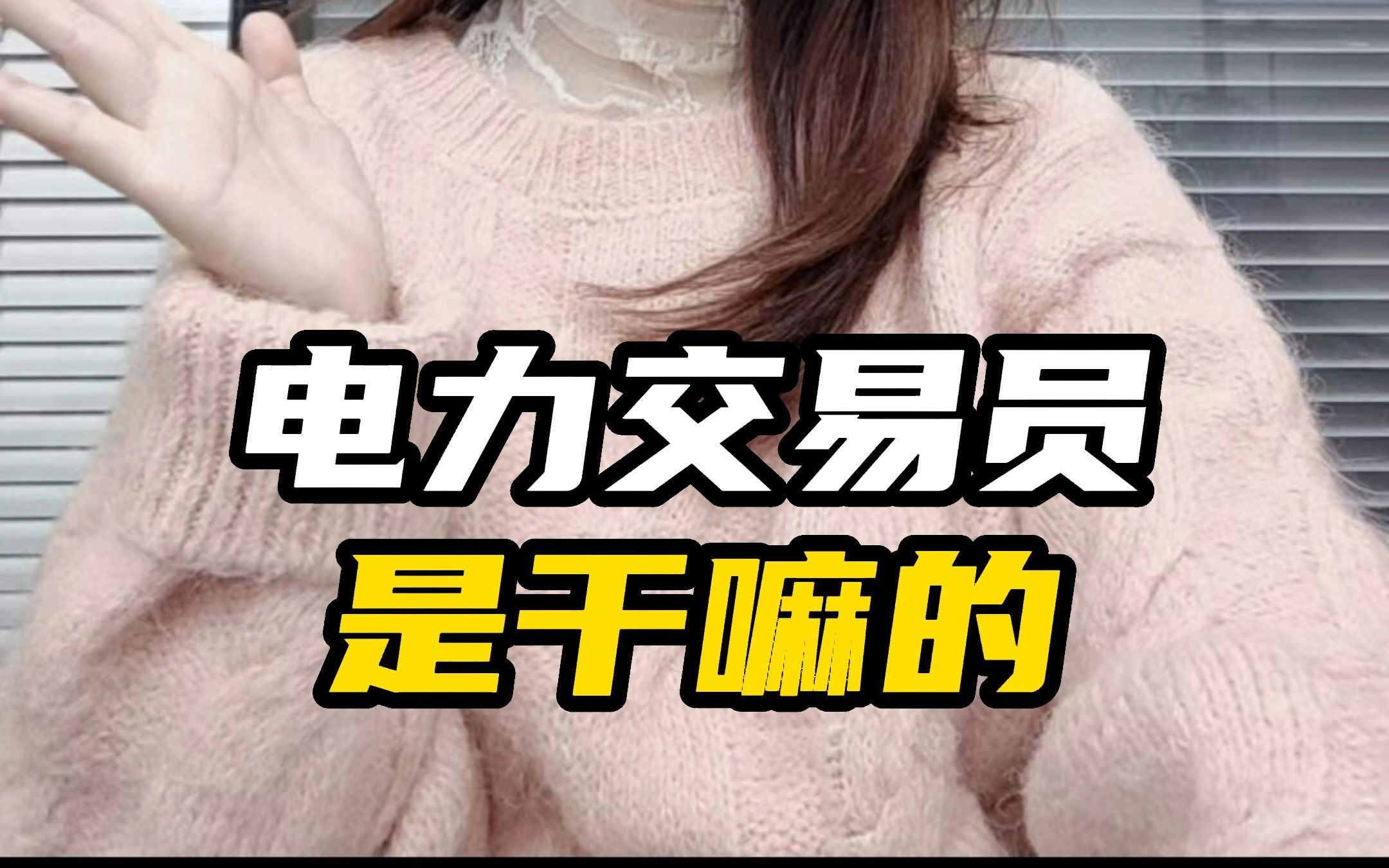 电力交易员是干嘛的?哔哩哔哩bilibili