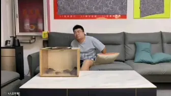 哈哈哈哈哈摸箱猜物：兔子和牛蛙