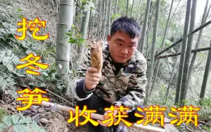 下载视频: 老师傅带我上山挖冬笋，没想到能挖这么多，这收获真的多啊！