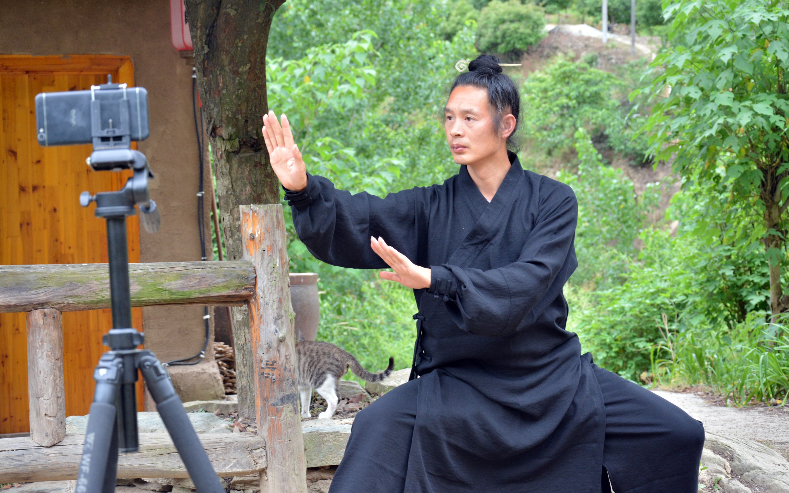 武当云手杨师高太极拳十三势_哔哩哔哩 (゜-゜)つロ 干杯~-bilibili