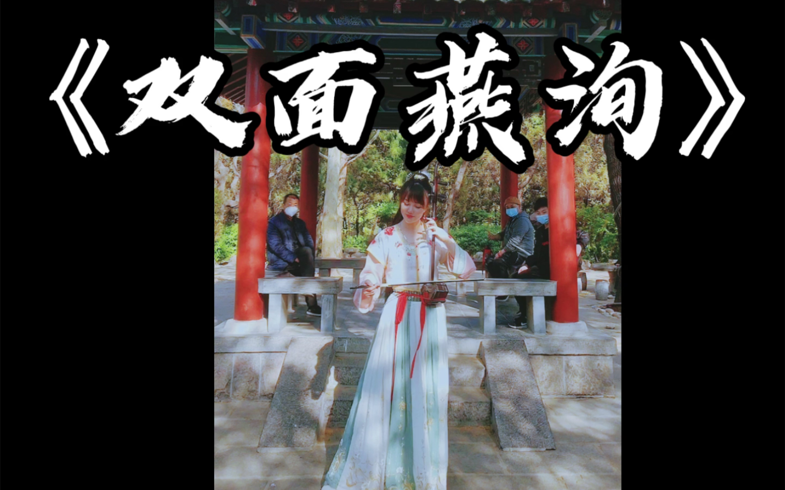 二胡你没听过的双面燕洵丽人行场面宏大