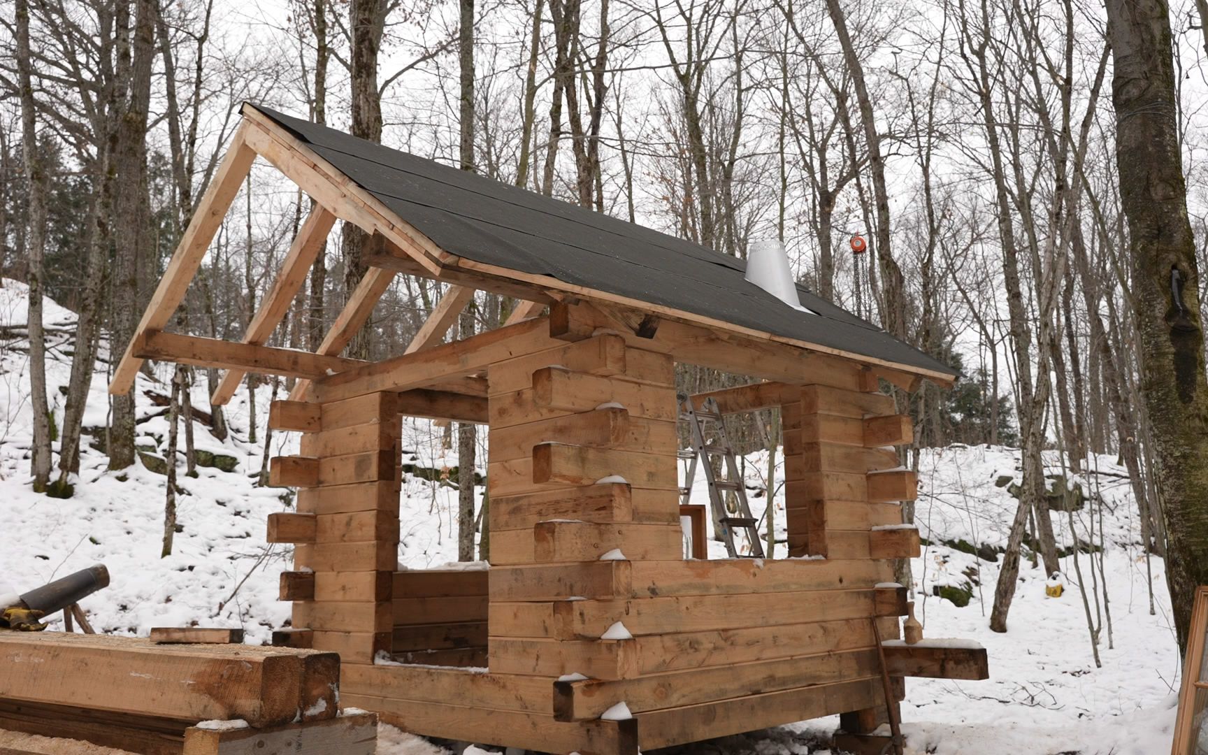 种菜老头-如何建造一个廉价的丛林原木小屋-卡利受伤了,离网车间的