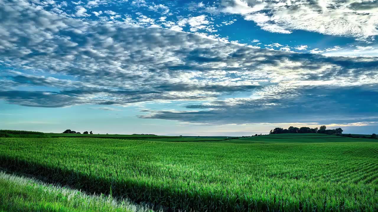 2小时放松心情的钢琴曲早上最适合听的轻音乐放松解压美妙的音乐