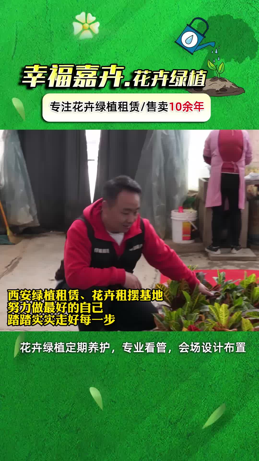 西安绿植租摆公司推荐,专业提供办公室花卉租赁;绿植租摆和绿植批发,有需要的朋友等你来联系我们哔哩哔哩bilibili