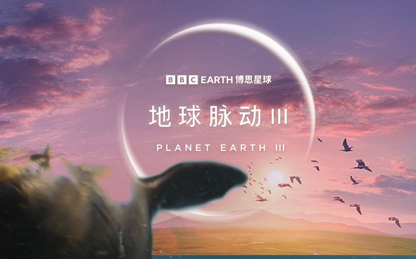 裸眼3d版《地球脉动3》