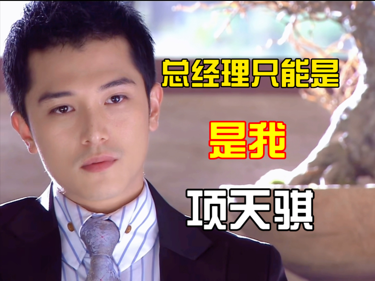别忘了 总经理只能是我项天骐