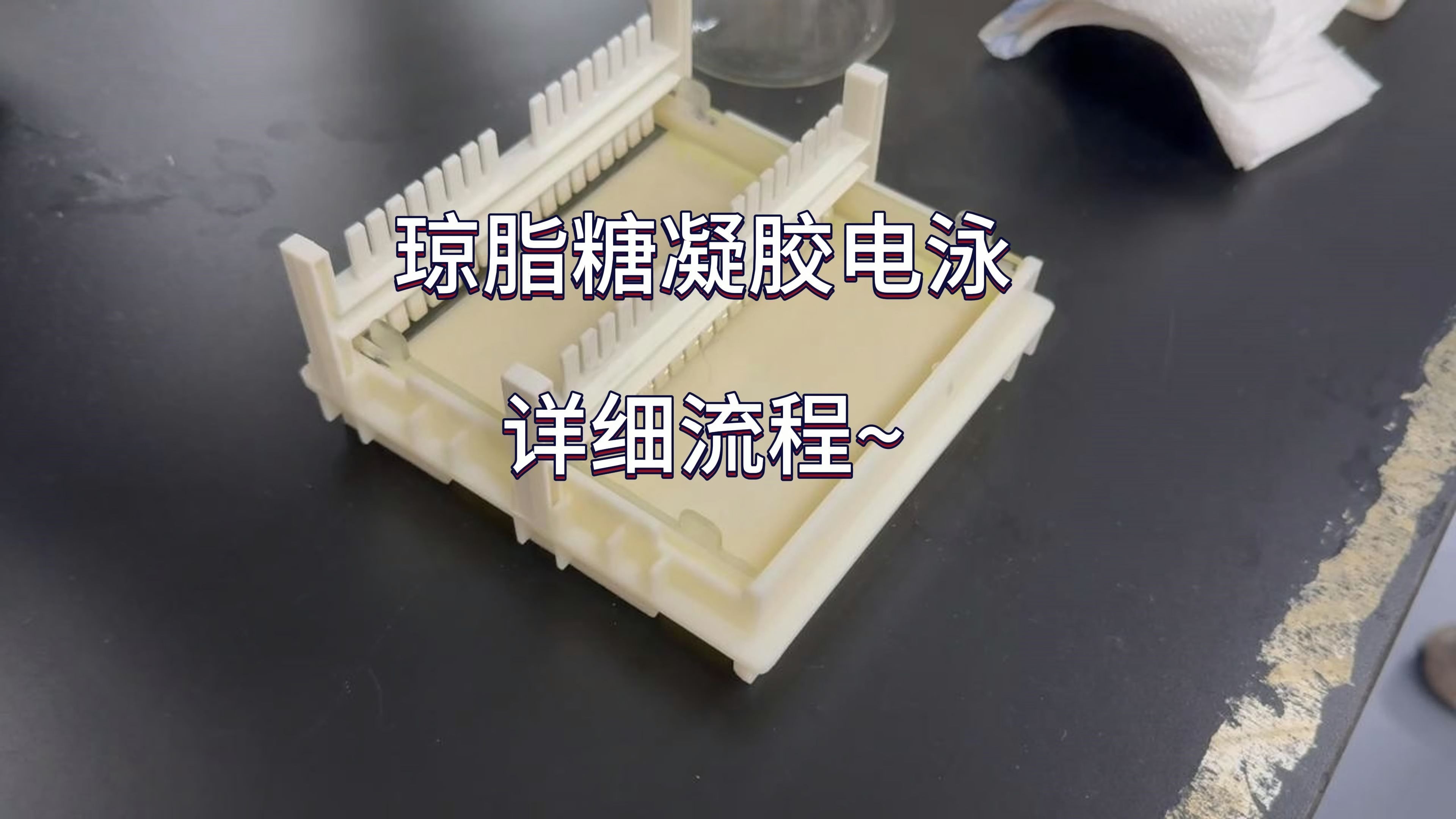 Detailed agarose gel electrophoresis protocol tutorial