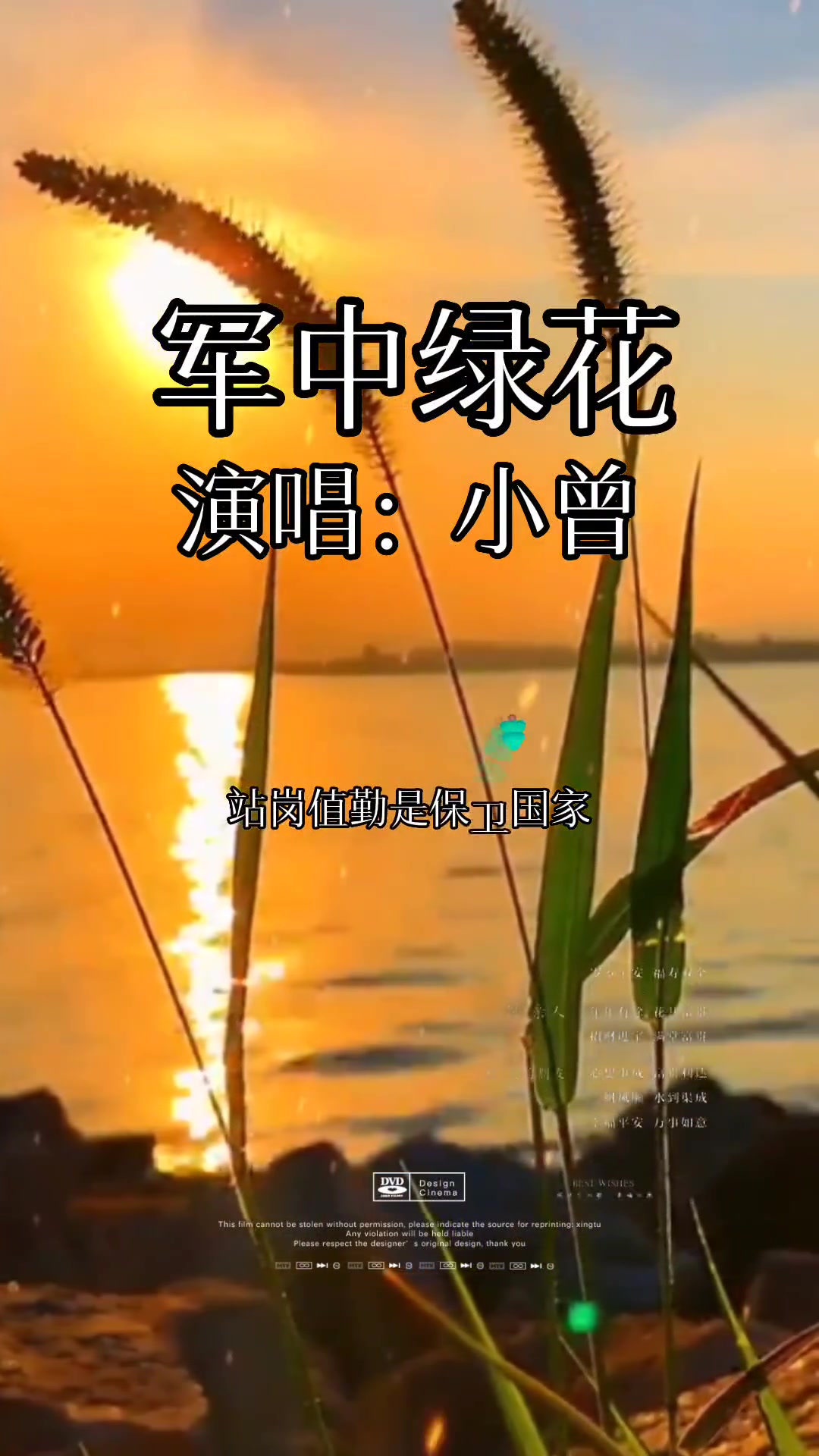 军中绿花 小曾 经典老歌 音乐分享 百听不厌