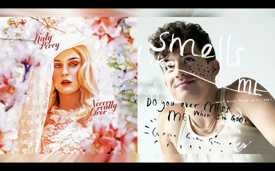 [图][搬运]Smells Like Me x Never Really Over (Charlie Puth x Katy Perry Mashup)