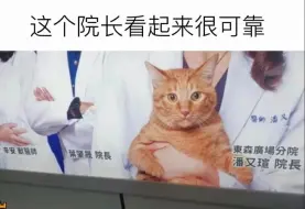 Download Video: “看起来格外可靠的猫院长”