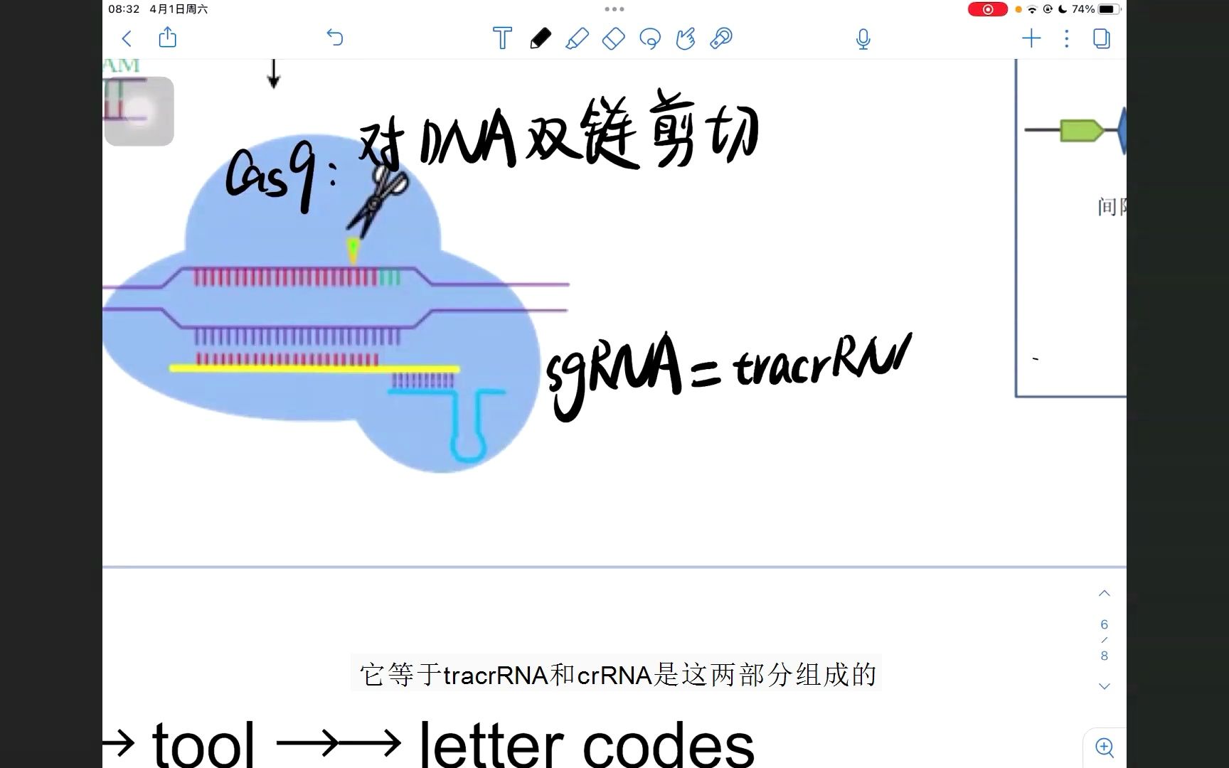 0基础CRISPRCas9原理介绍哔哩哔哩bilibili