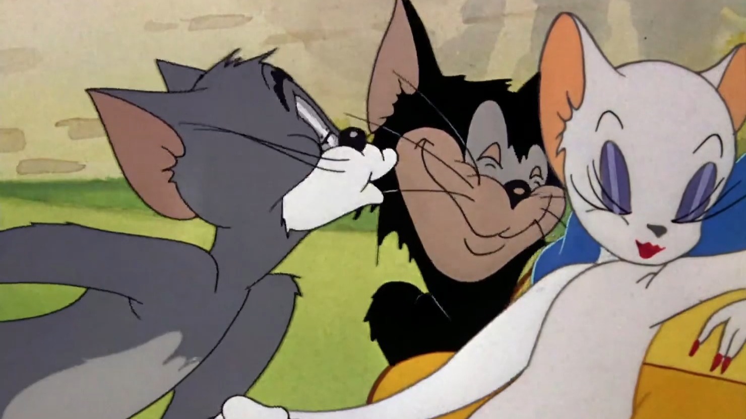 ☝🤓⚡三只猫的感情注定不会幸福⚡