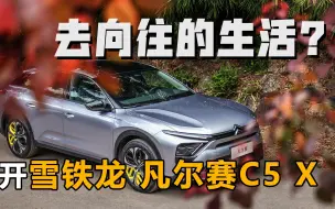 Download Video: 驾凡尔赛C5X 寻向往的生活