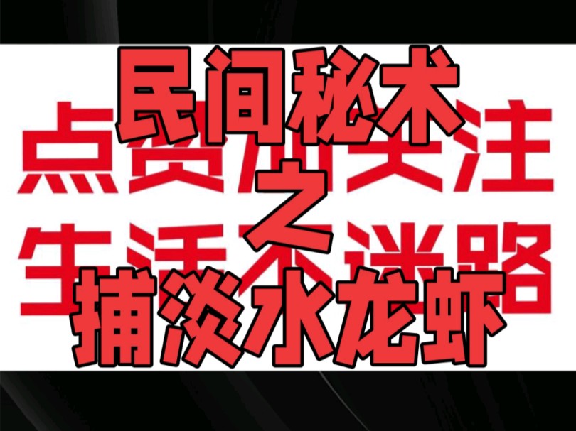 民间秘术之钓小龙虾哔哩哔哩bilibili