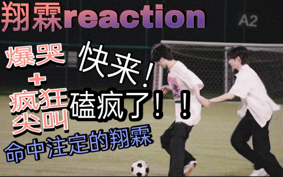 [图]【翔霖】翔霖专场reaction 磕疯了！！命中注定的翔霖！纯真戏影味！！爆哭+疯狂尖叫 别问 嗓子已经哑了 惩罚嘴硬的小朋友相爱一辈子