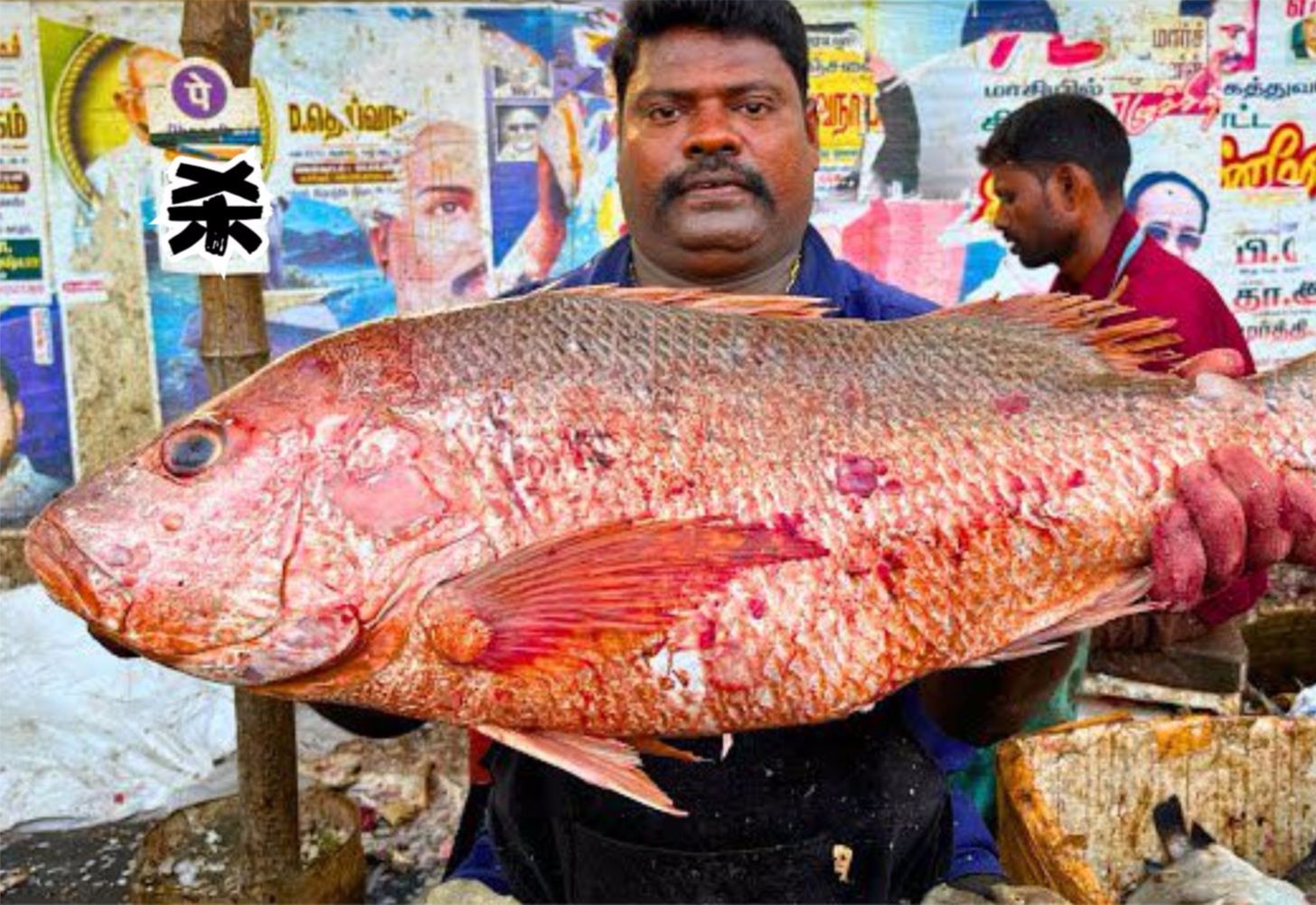 印度刀手宰杀笛鲷鱼,帮客户处理二十斤红点笛鲷鱼