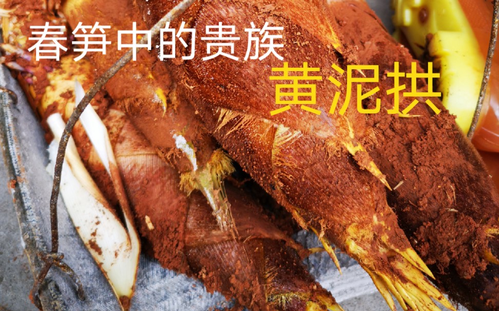 挖最好的春笋:黄泥拱!