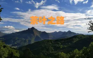 Download Video: 【纪录片】【茶】【茶叶之路】第二十四集：鄱阳湖遗响