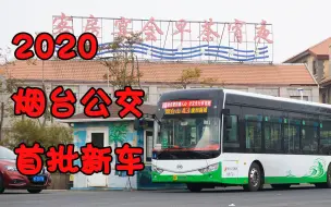 Download Video: 【vlog】浒苔装的入侵？烟台公交2020年首批新车—安凯纯电动的探访