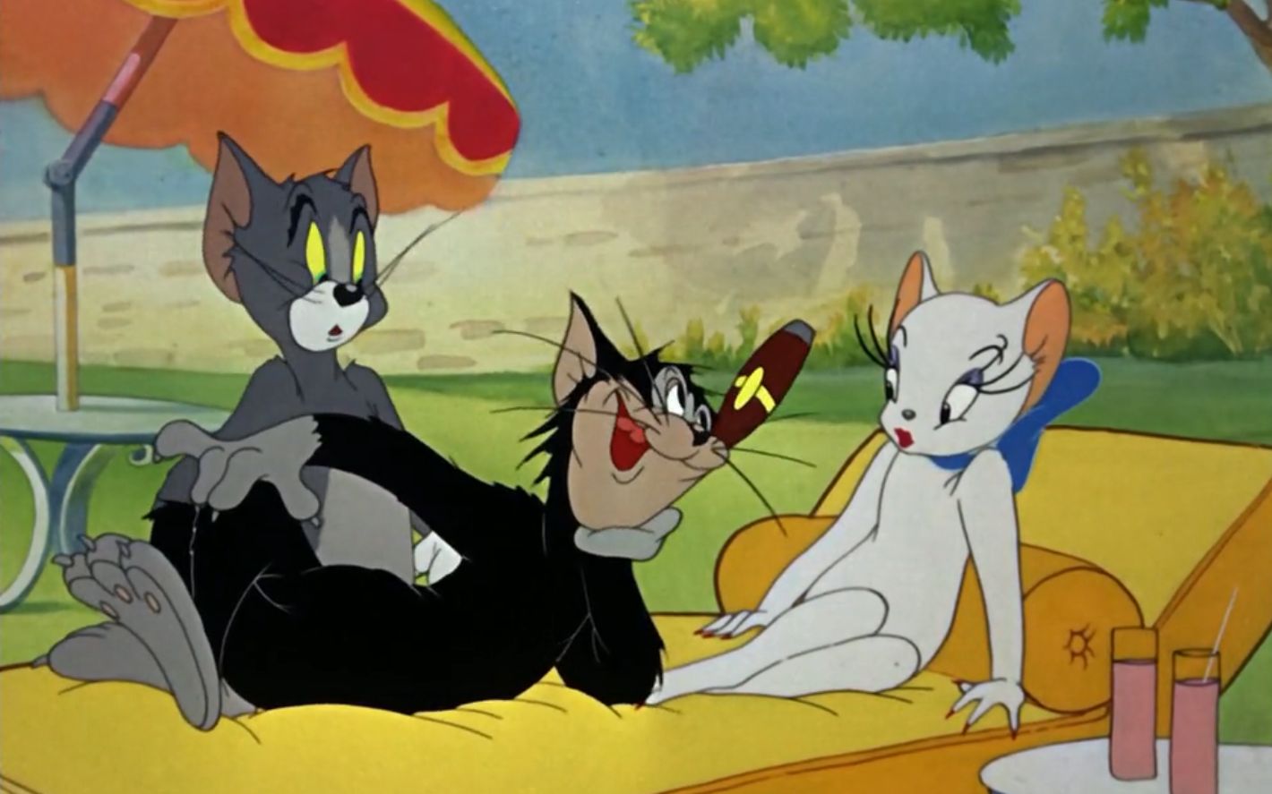 每个都想"绿"汤姆 这是"流浪猫铁三角"的故事