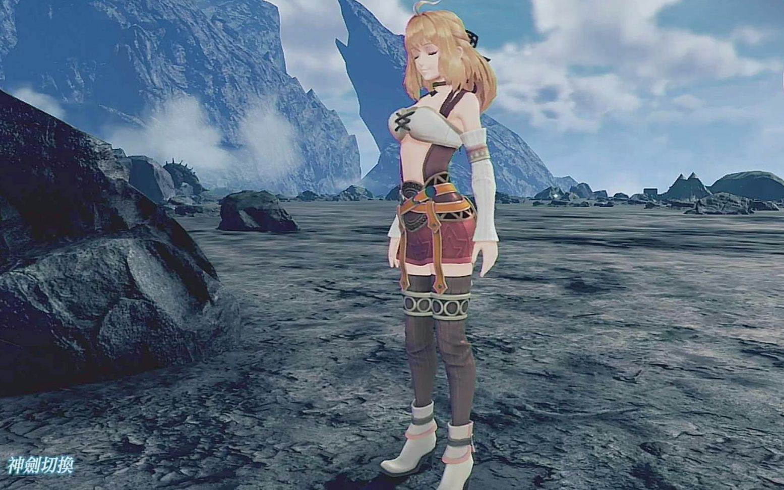 【异度老婆2】全老婆战斗技能演示 菲奥伦_哔哩哔哩 (゜-゜)つロ 干杯