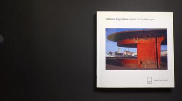翻书|摄影集】William Eggleston - Spirit of Dunkerque_哔哩哔哩_bilibili