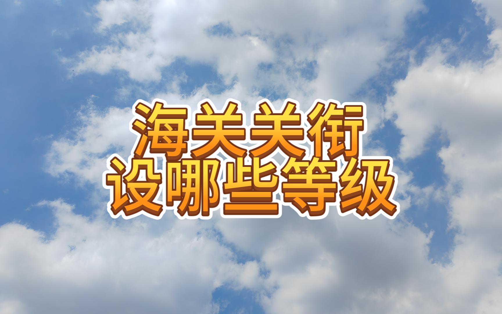 海关关衔设哪些等级