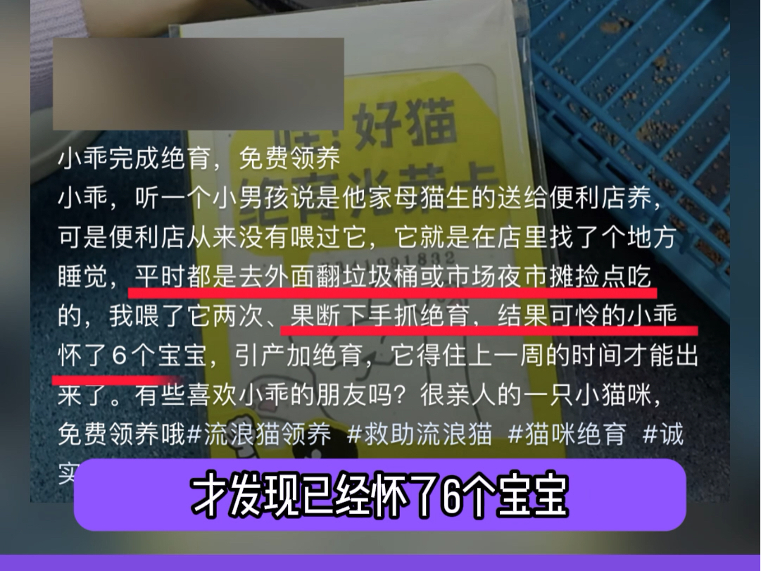 明明只是简单的文字描述,但是看得我热泪盈眶哔哩哔哩bilibili