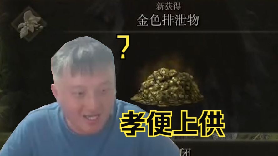 戴佳伟6.21骚话精选:法环特别篇 孝便只需要上供就行了,而肥猪要考虑的就很多了哔哩哔哩bilibili