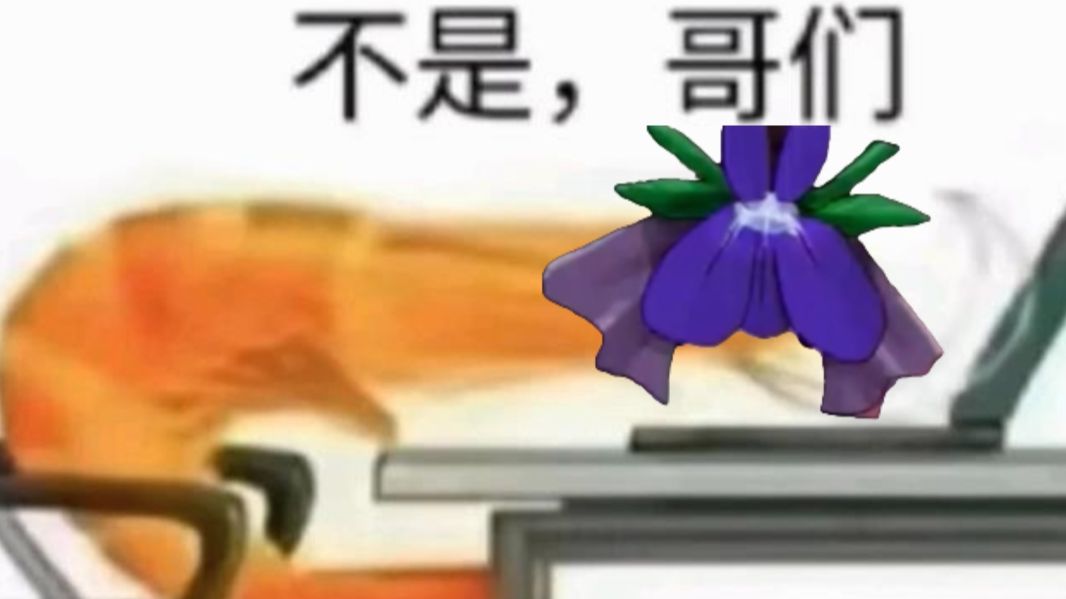 二色莲花虾哔哩哔哩bilibili