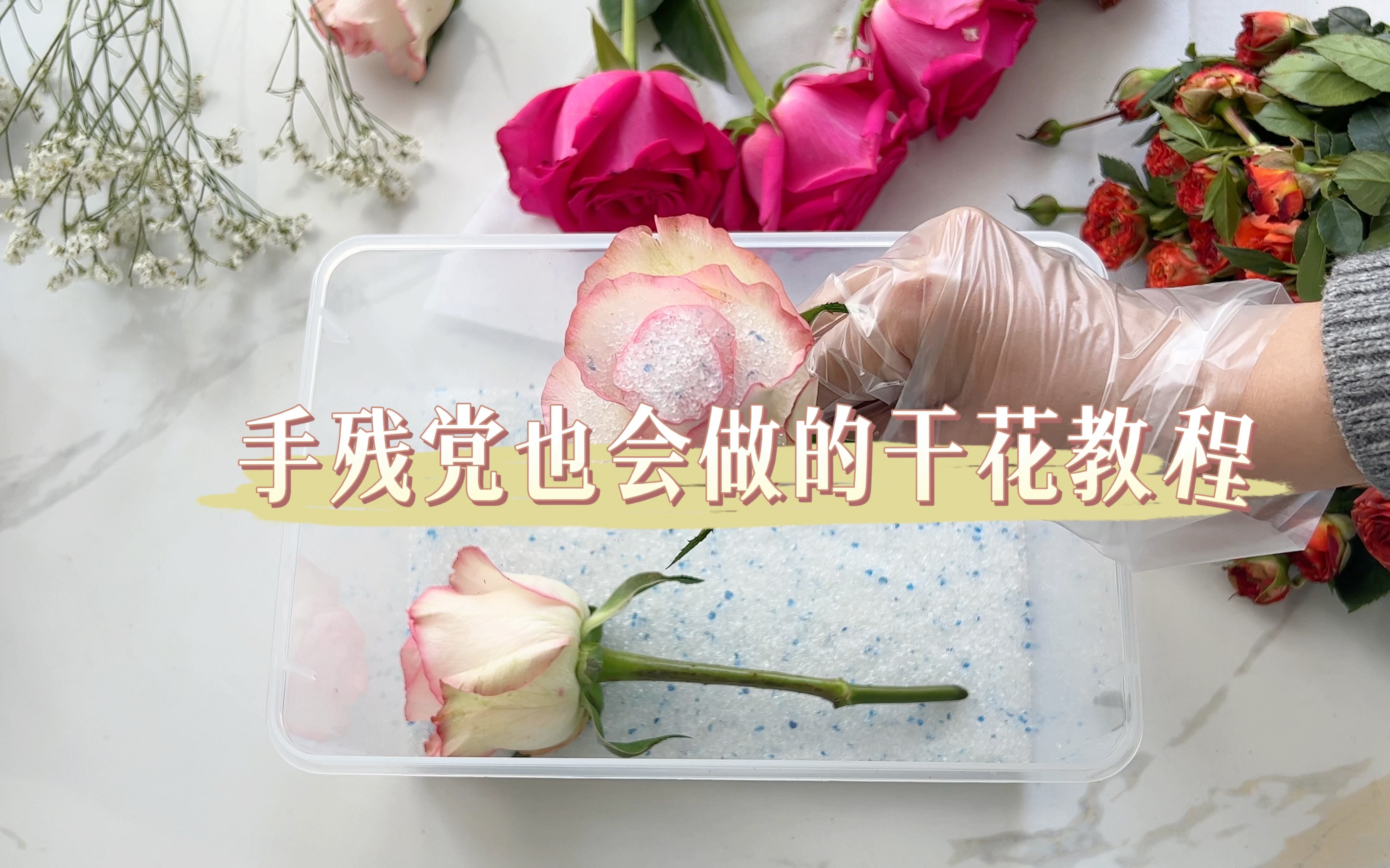 压花手作DIY|手残党也会做的干花教程,鲜花变成永生花,留住鲜花最美的样子哔哩哔哩bilibili