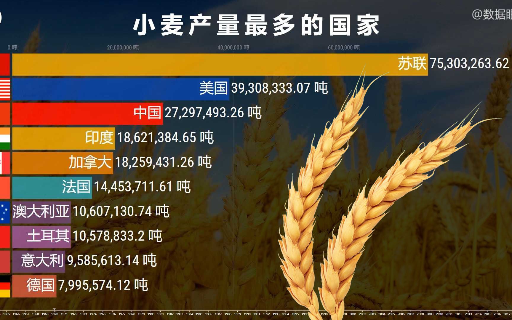 世界小麦产量排名 哪个国家的小麦产量最高?为勤劳的农民点赞!