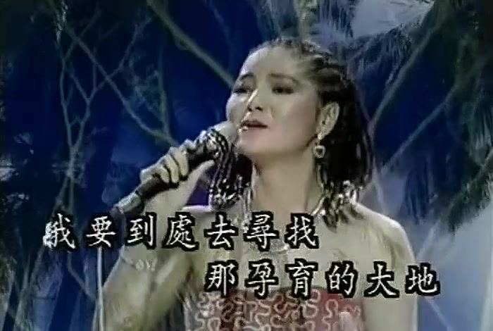 [图]1980年邓丽君《原乡情浓》专辑之《迎着风跟着云》- 卡拉OK版