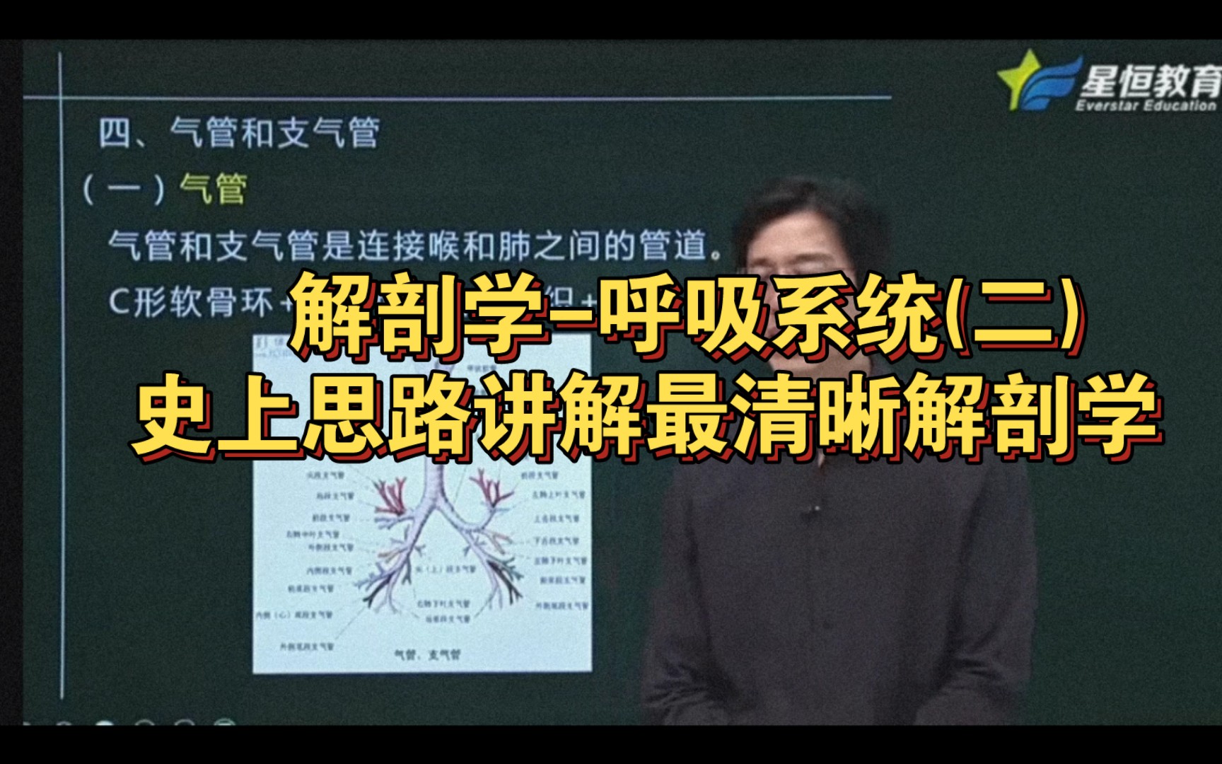 [图]解剖学-呼吸系统(二)   史上思路讲解最清晰解剖学