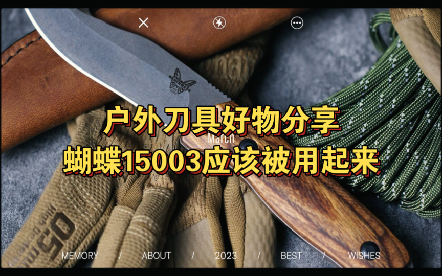 每日好物分享,这把蝴蝶15003在拍照上很有颜值哔哩哔哩bilibili