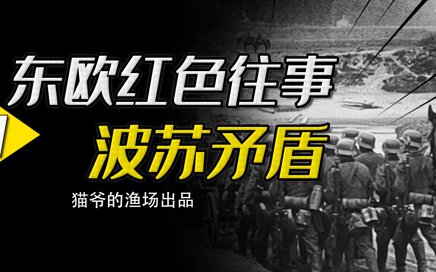 走入死胡同的波兰,为什么第一个放弃社会主义的国家是波兰?哔哩哔哩bilibili