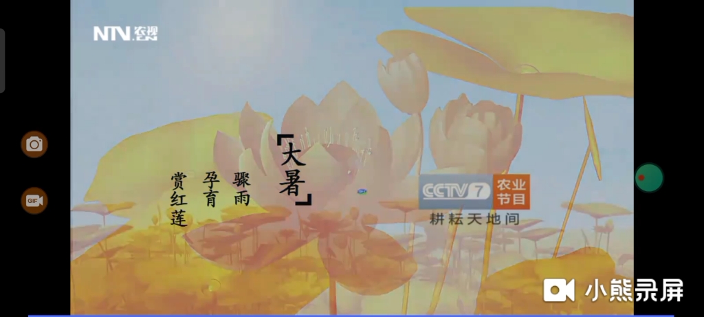 [图][放送文化]CCTV7农业节目《乡村法制剧场》结束后二十四节气 大暑+5秒版权页（20170804）