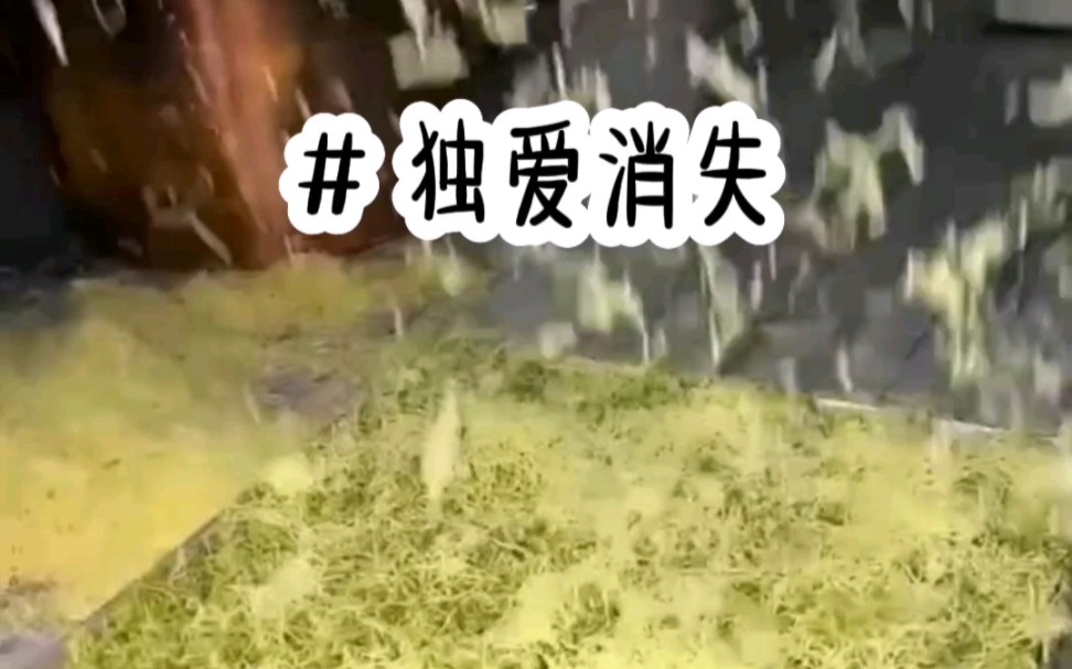 (独爱消失)小说推荐