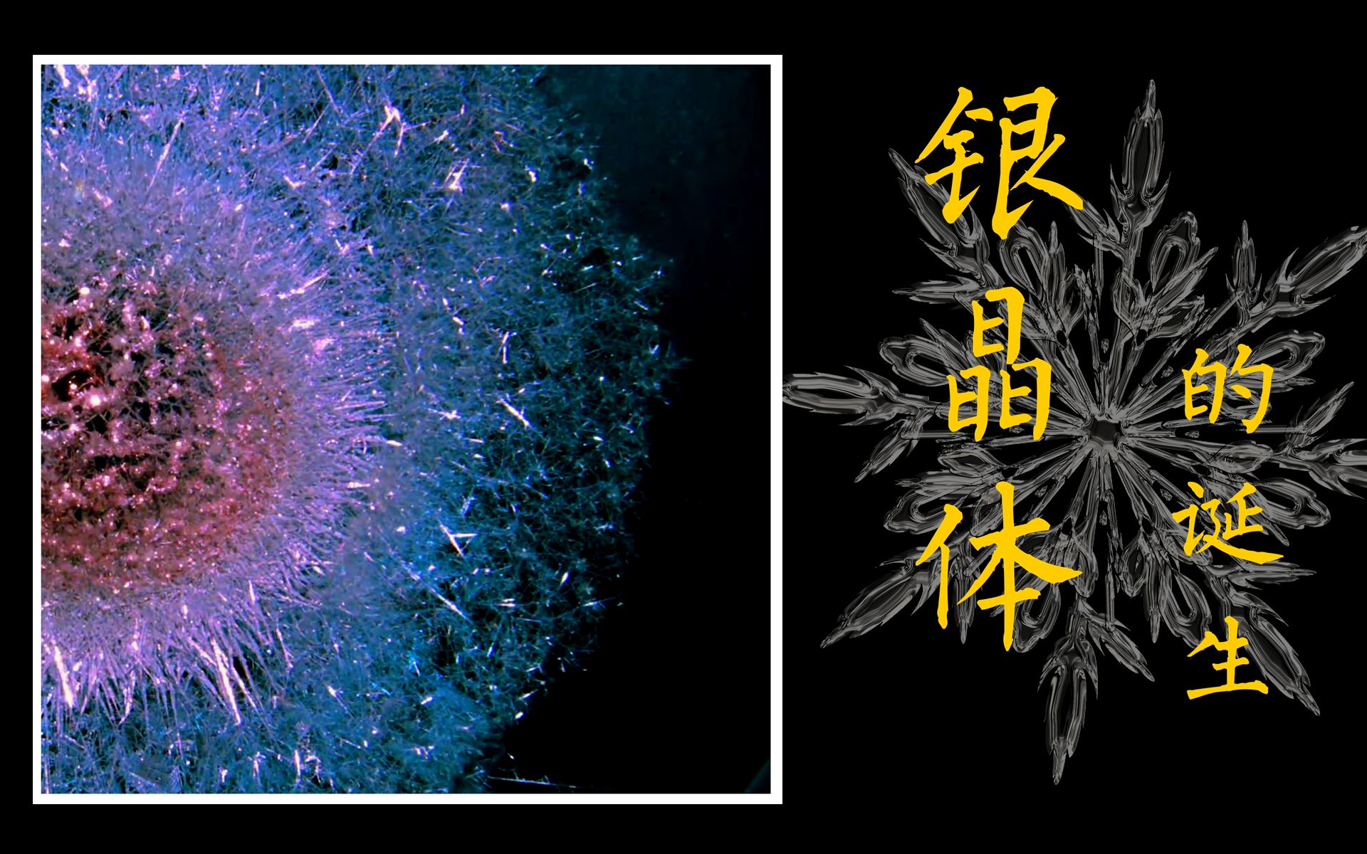 生如夏花,银晶体的诞生