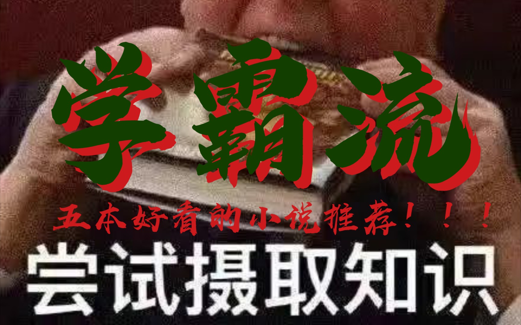 【小说推荐】五本超好看的学霸文安利!(祝愿B站的学子们一日同风起,扶摇九万里!)哔哩哔哩bilibili