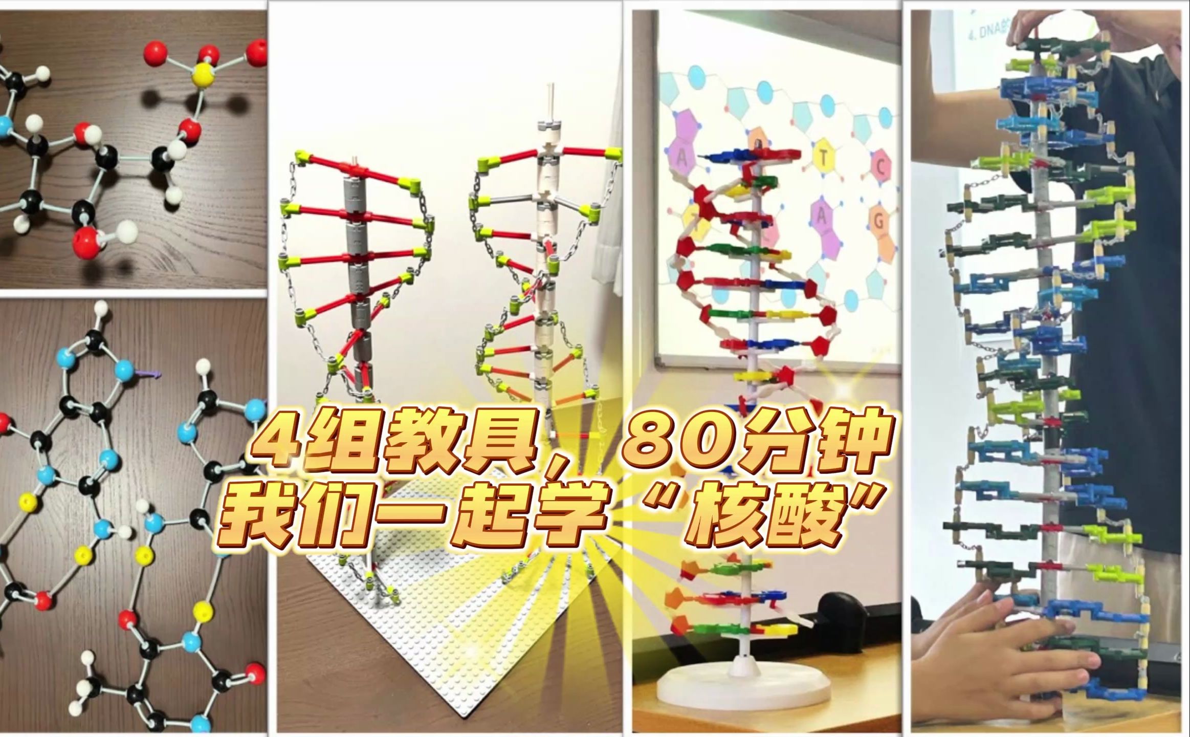 课堂实录:生物化学2829 (脱氧)核酸的结构哔哩哔哩bilibili